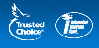 Insurance Agent